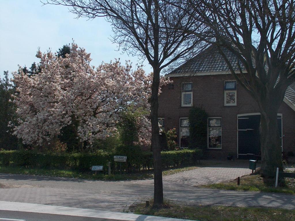 Molenvoort Bed and Breakfast Wachtum Eksteriør billede