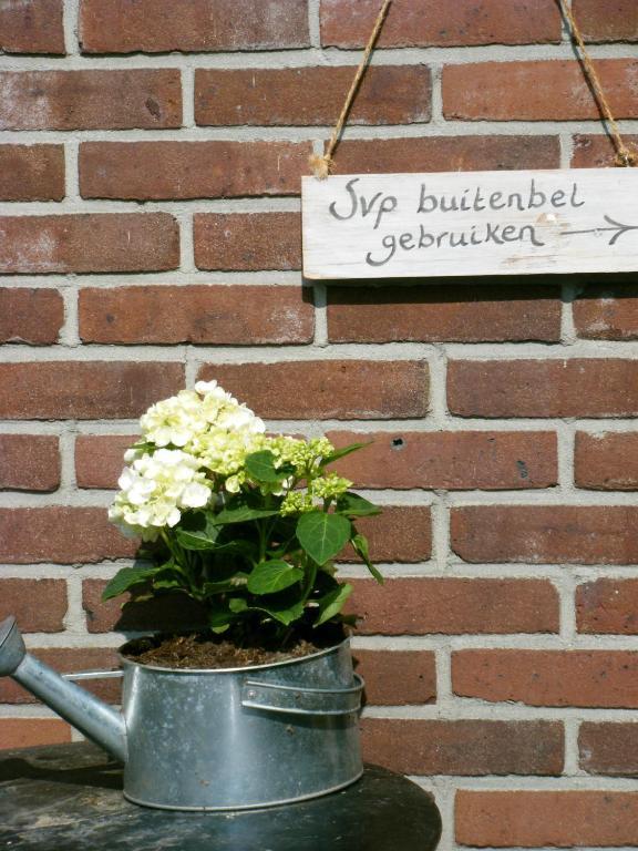 Molenvoort Bed and Breakfast Wachtum Eksteriør billede