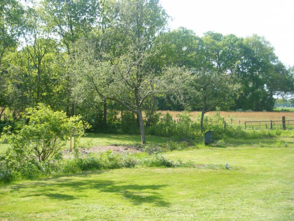 Molenvoort Bed and Breakfast Wachtum Eksteriør billede