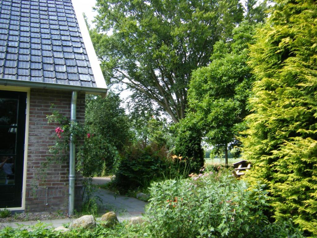 Molenvoort Bed and Breakfast Wachtum Eksteriør billede